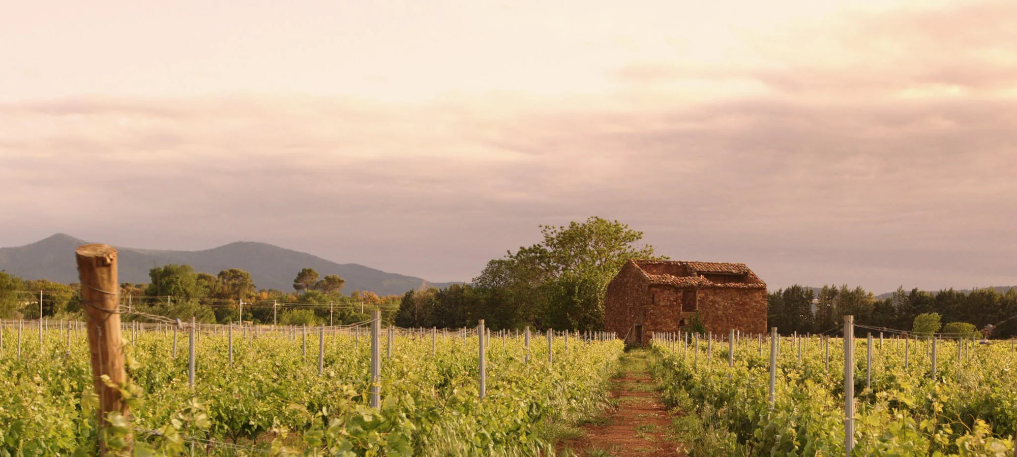 Wein aus Australien