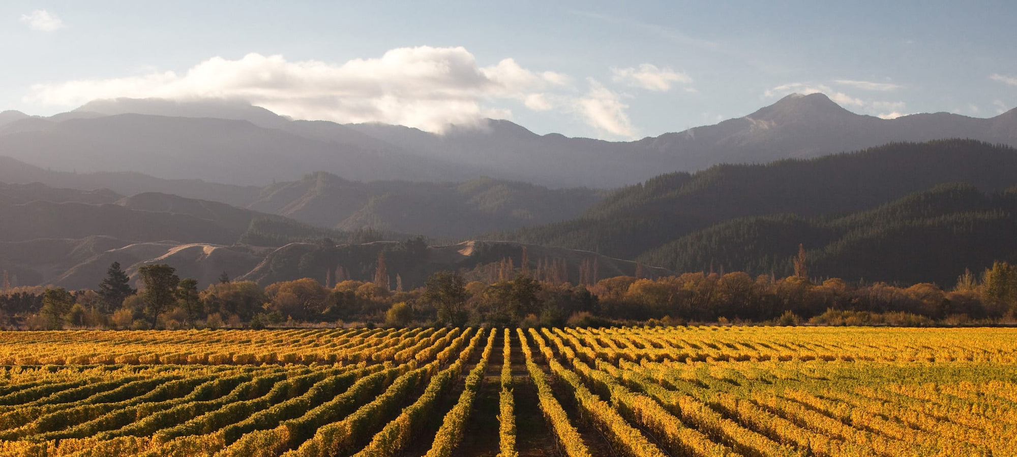 Marlborough