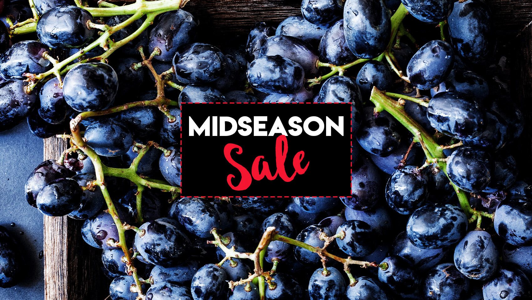 Midseason Sale