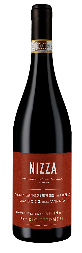 Nizza 2020