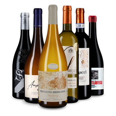 Wine in Black 94+Punkte-Paket