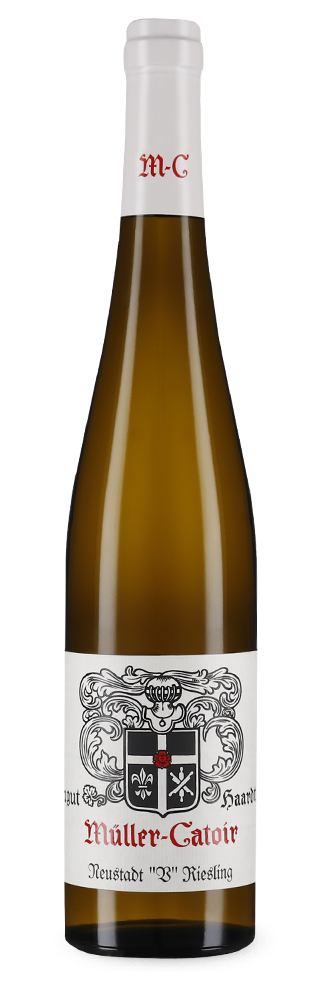 Neustadt V Riesling trocken 2022