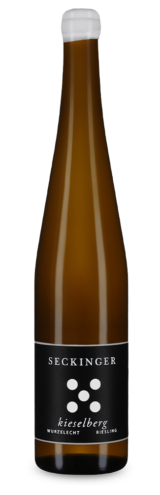 Riesling Deidesheim Kieselberg Wurzelecht trocken 2022
