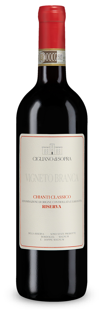 Chianti Classico Riserva Vigneto Branca  2022