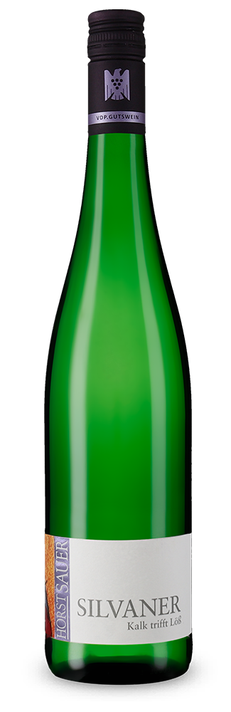 Silvaner Kalk trifft Löss trocken 2025