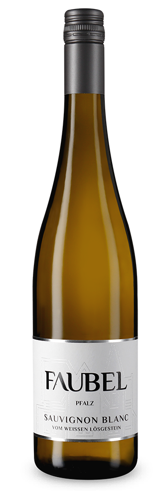 Sauvignon Blanc vom weißen Lössgestein trocken 2025