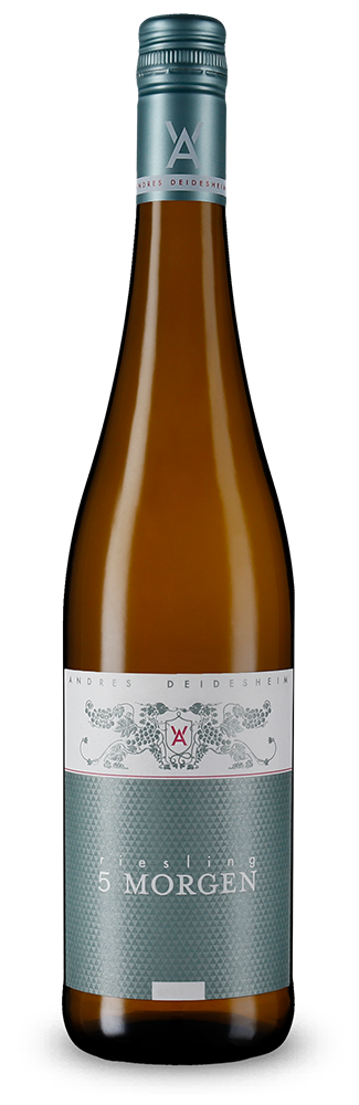 Riesling 5 Morgen trocken 2025
