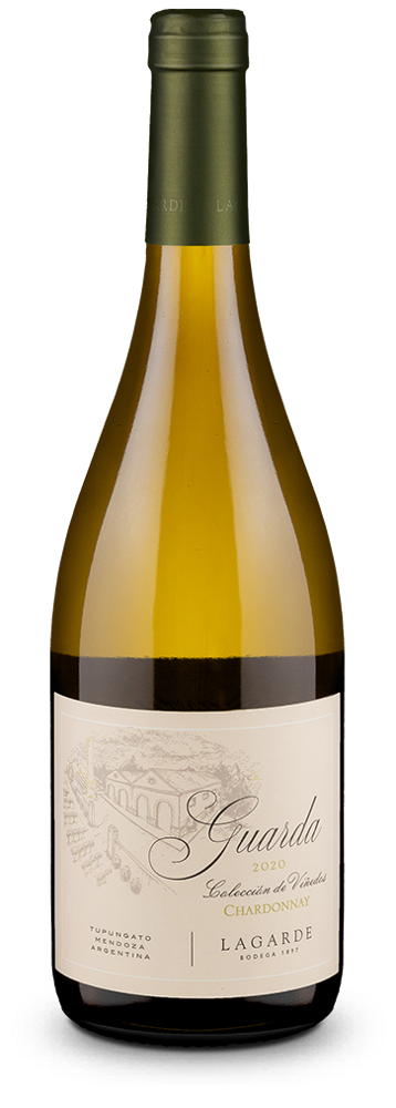 Chardonnay Guarda Colección de Viñedos Valle de Uco 2025