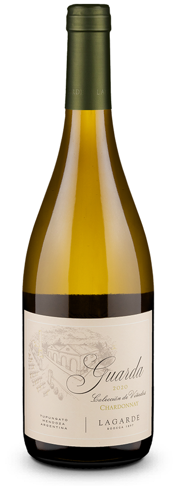 Chardonnay Guarda Colección de Viñedos Valle de Uco 2025
