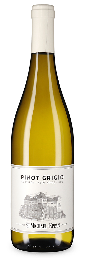 Pinot Grigio 2025