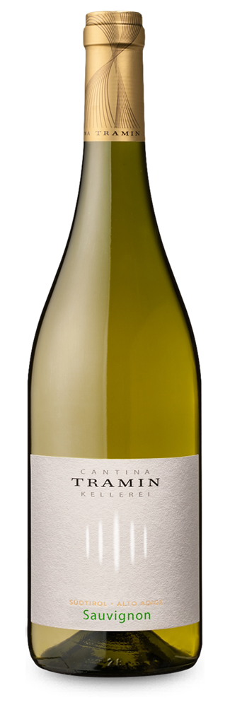 Sauvignon 2025