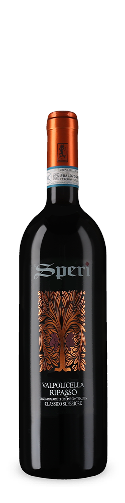 Valpolicella Ripasso Classico Superiore 2024