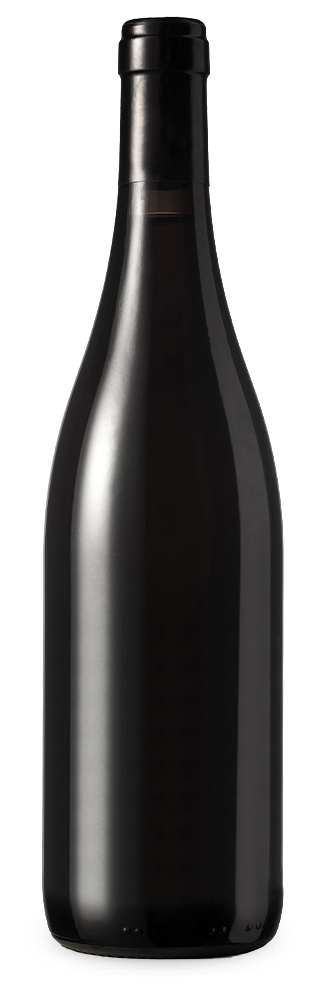 Cabernet Sauvignon North Coast 2022